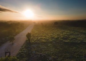 Venta de lotes residenciales en Yucatán