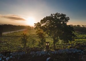 Venta de lotes residenciales en Yucatán