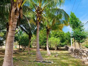 Terreno en venta en Yucatán