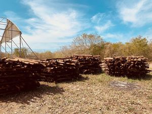 Terreno en venta en Yucatán