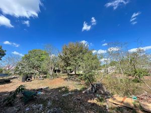 Se vende quinta para restaurar en Yucatán