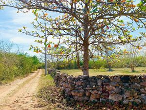 Terreno en venta en Yucatán