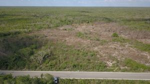 Terreno en Opichen de 264 hectarias