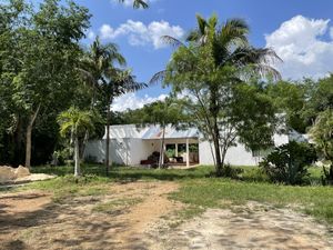 Finca de 103 hectáreas con casa con 2 recámaras y piscina en Tecoh