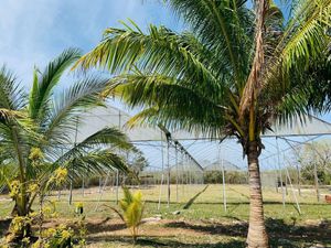 Terreno en venta en Yucatán