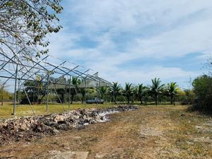 Terreno en venta en Yucatán