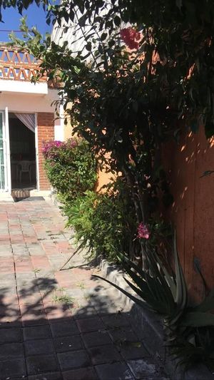 Casa en Venta en Oaxtepec