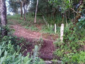 Terreno a 10 minutos de Valle de Bravo