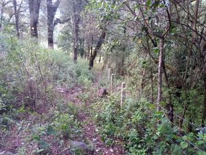 Terreno a 10 minutos de Valle de Bravo