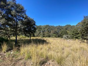 Terreno en venta a 15 min de la autopista Mex-Qro