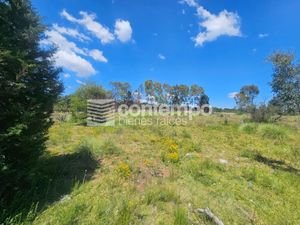 Venta Terreno Villa del Carbón, Estado de México