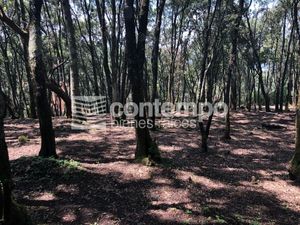 Venta Terreno Santa María Mazatla, Jilotzingo, EDOMEX