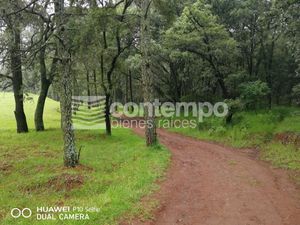 Venta Terreno - Espíritu Santo - Jilotzingo - Estado de México