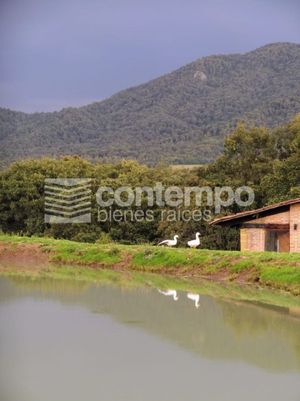 Venta Terrenos - Lago Los Monteros - Jilotzingo - Estado de México