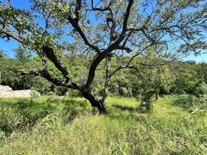 Terreno en venta en San Eugenio