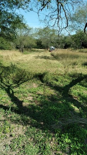 Terreno en Venta en Montemorelos