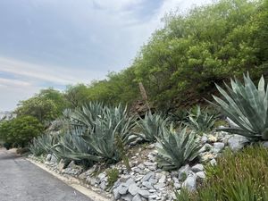 Terreno en Venta en Contry La Silla