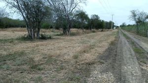 Terreno en Venta en Montemorelos