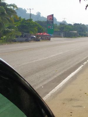 HECTAREAS EN LA CENTRAL A PIE DE CARRETERA