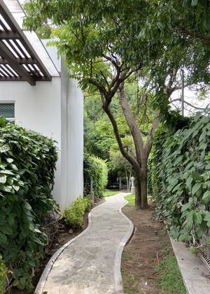 Casa en renta, una sola planta, excelente ubicación