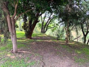 Casa en Renta, Lomas de la Hacienda, 3 Recámaras.