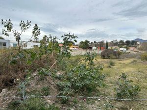 Terreno en Venta, Chapala, 32 Ha