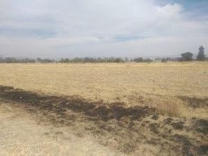 VENTA DE TERRENO EN PUENTE APAPAXCO ,PUEBLA