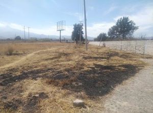 VENTA DE TERRENO EN PUENTE APAPAXCO ,PUEBLA