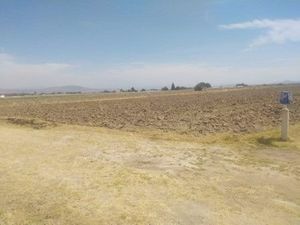 VENTA DE TERRENO EN PUENTE APAPAXCO ,PUEBLA