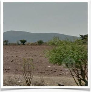 Rancho en venta El Cardo y el Salitre de San Anton, San Miguel de Allende