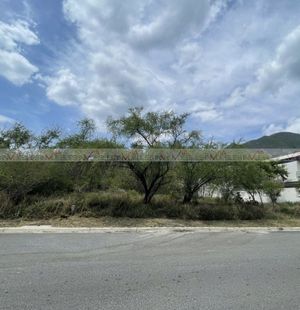 Portal de Huajuco