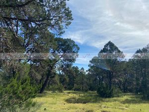 Venta Terreno Para Desarrollar Los Llanos Sierra Hermosa Arteaga En Arteaga