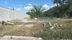 Venta Terreno Para Desarrollar Parras Coahuila En Parras