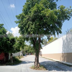 La Lagrima, Hacienda la Estanzuela