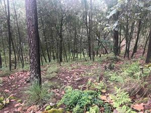 Terreno en Venta, Sierra Mazati, Tapalpa Jalisco