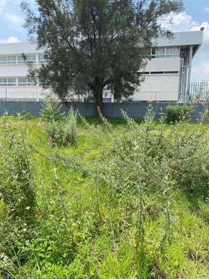 Terreno en renta , San Juan de Ocotan , Zapopan ,Jalisco