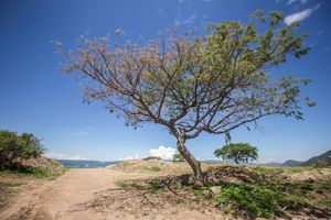 Terreno en  venta en Ajijic, Jalisco