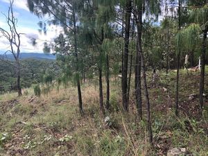 Terreno en Venta, Sierra Mazati, Tapalpa Jalisco