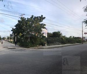 RENTO TERRENO EN AVENIDA EN FRACC. CAUCEL, MÉRIDA, YUCATÁN. CTR95.