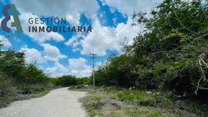 TERRENO SOBRE CARRETERA AL NORTE DE MERIDA, CONKAL,YUCATÁN.  CTV252