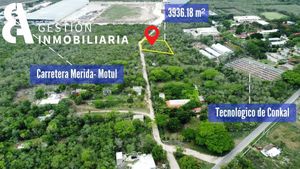 TERRENO EN VENTA AL NORTE DE MERIDA, CONKAL,YUCATÁN CTV256