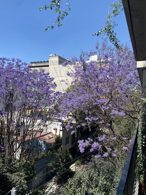 Precioso departamento con terraza