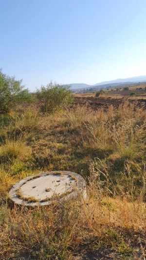 TERRENO EN VENTA EN CALPULALPAN TLAXCALA, 20 HECTÁREAS O POR PARTES