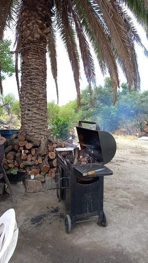 TERRENO VALLE DE GUADALUPE EN PAGOS