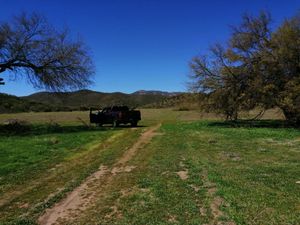 TERRENO VALLE DE GUADALUPE EN PAGOS