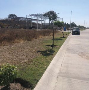 Terrenos en venta 845m2, Next industrial park