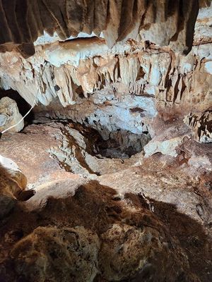 Estalactitas sobre el acceso al cenote