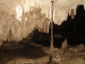 Las estalactitas Penden de los techos de las cavernas