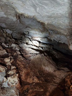 Cueva dentro del acceso del cenote