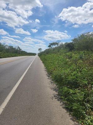 Carretera federal frente del terreno